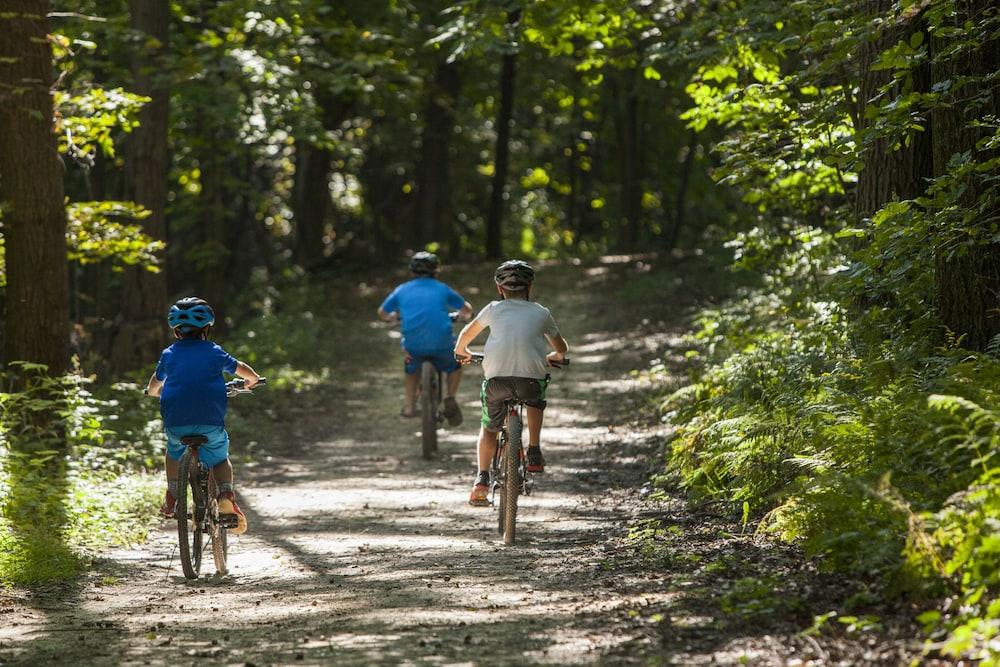 Chestnut Mountain Resort Galena Esterno foto