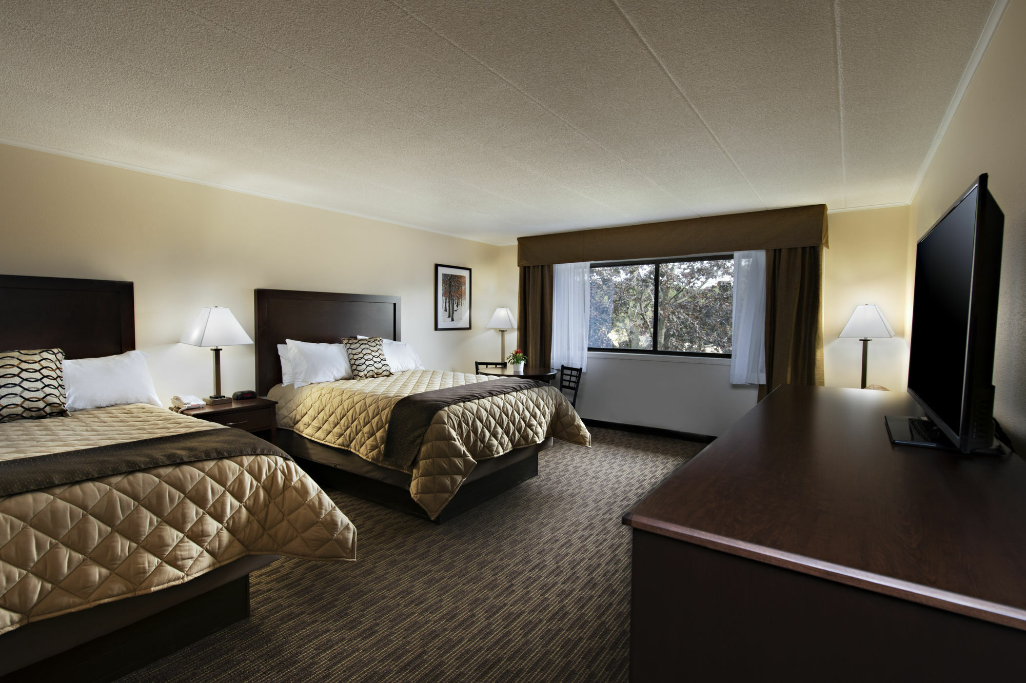 Chestnut Mountain Resort Galena Esterno foto